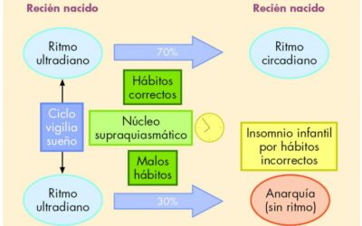 Cortisol